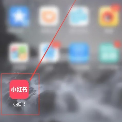 如何搜索小红书号？